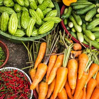 bundle of assorted vegetable lot