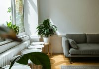 gray sofa